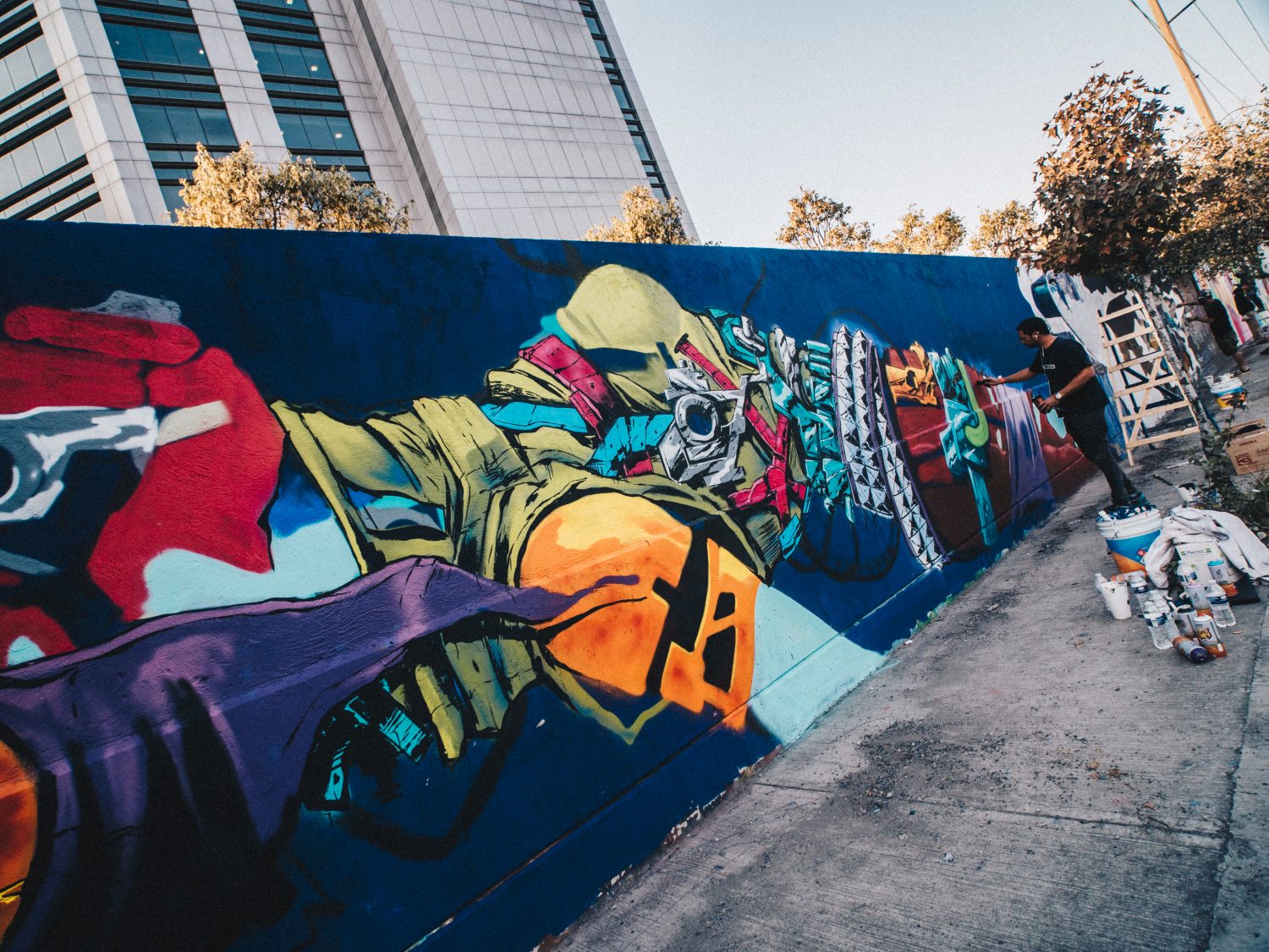 FIART 2018 México DF Deih Festivals Graffiti walls