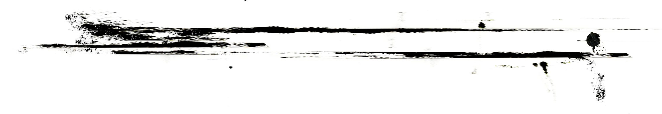 &nbsp;